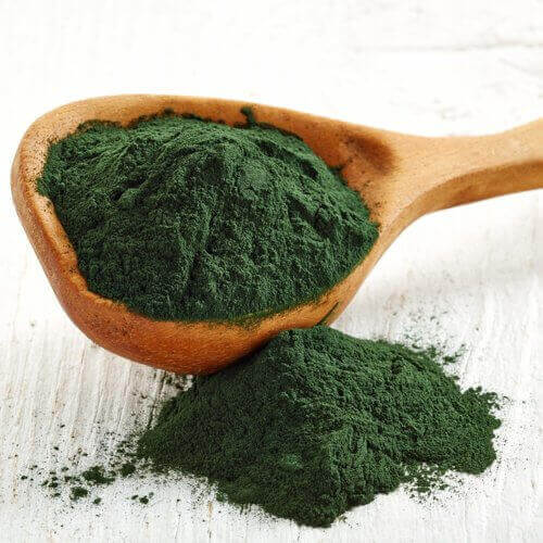 Anapur contains chlorella