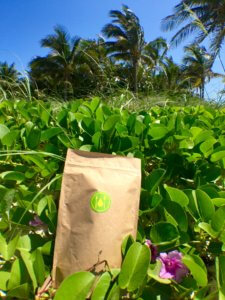 Anapur tropical